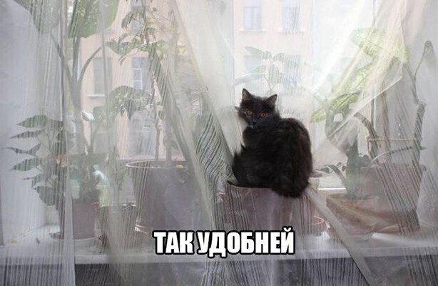 Позитивные приколы