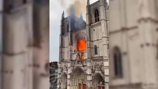Профессор Ройтман назвал возможную причину пожара в соборе святого Петра и Павла в Нанте