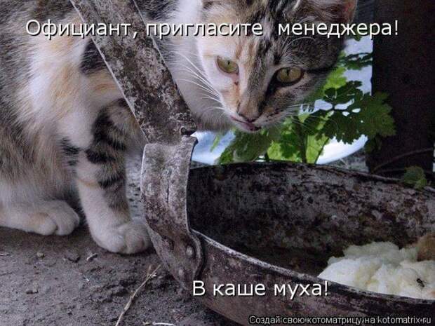 Мысли вслух :)