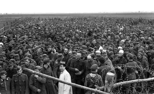 Лагерь немецких военнопленных вторая мировая война, история, фото
