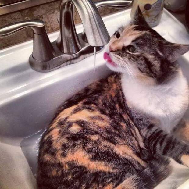 Подборка картинок дня