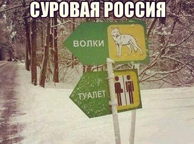 Прикольные фото