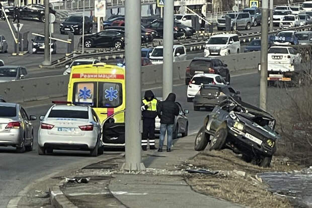 Во Владивостоке Suzuki перевернулся несколько раз из-за собаки и попал на видео