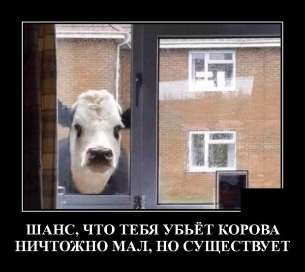 www.vsyako.net