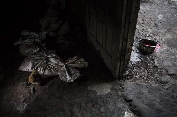 Жуткие кадры с индонезийской скотобойни, где убивают собак