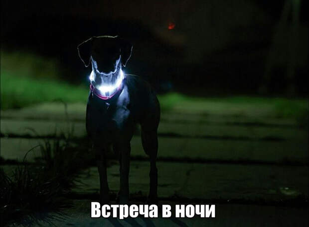 1476385546_40