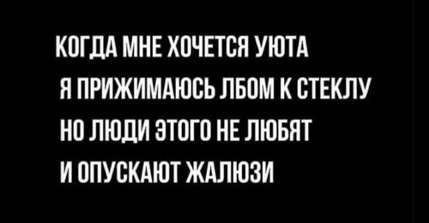 seti-memy-shutki-citaty-vkontakte-vkontakte-smeshnye-statusy