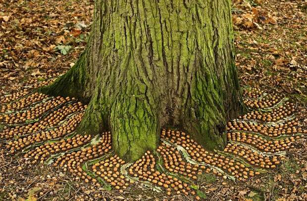 James-Brunt-Natural-Materials-Land-Art-England