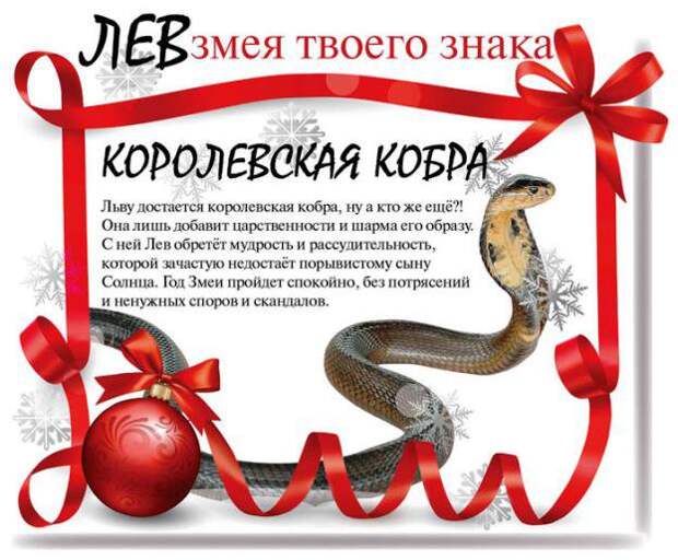Какой змеей будешь ты в 2013 году (13 фото) Какой змеей будешь ты в 2013 году (13 фото)