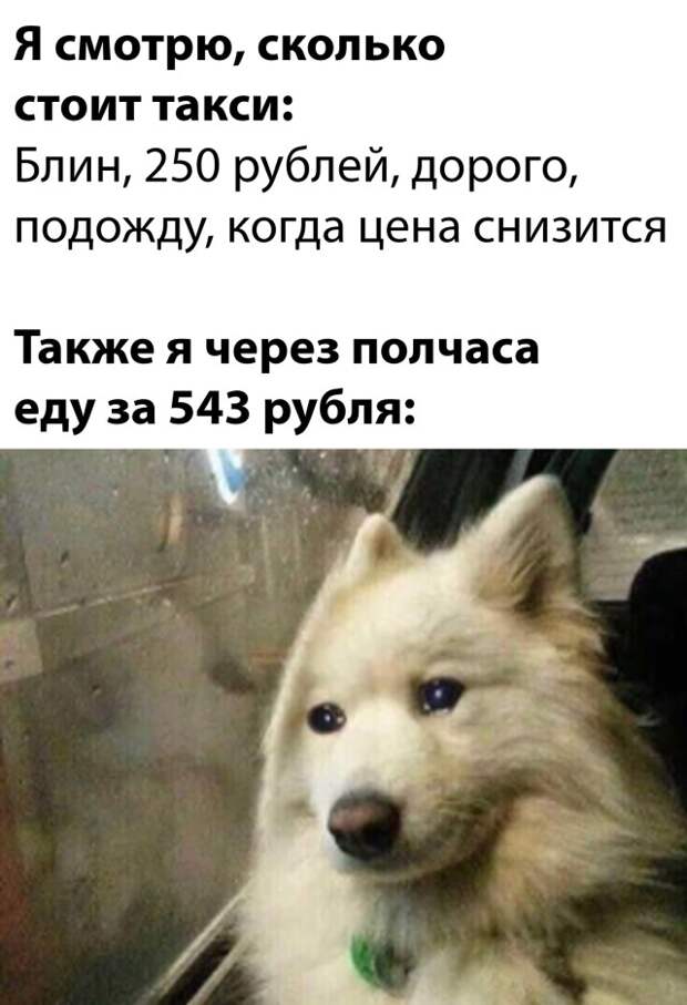 Смешные картинки 10 января 2021 года