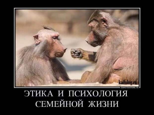 Прикольные демотиваторы с надписями. Подборка chert-poberi-dem-chert-poberi-dem-33520217102020-9 картинка chert-poberi-dem-33520217102020-9