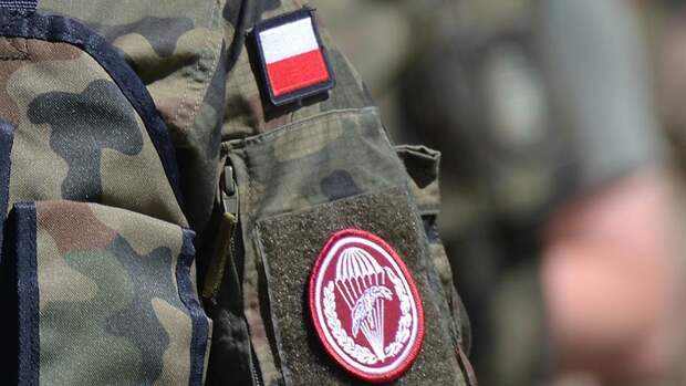Читатели Wirtualna Polska пошутили о переброске польских войск к восточной границе