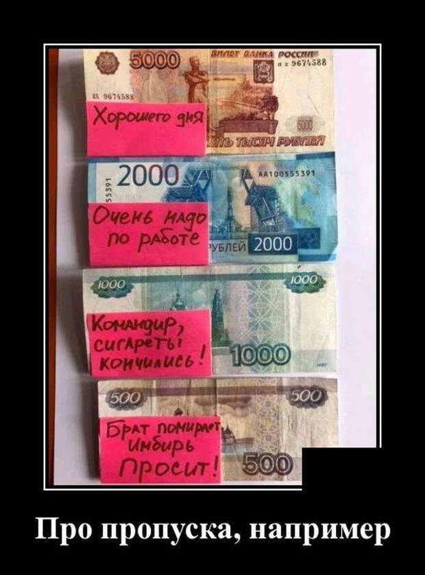 demotivatory-demotivator-smeshnye-demotivatory-demotivator-so-smyslom