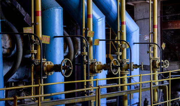 Среда в Карелии: обезьянья оспа, несчастный случай на ТЭЦ и пьяный таксист