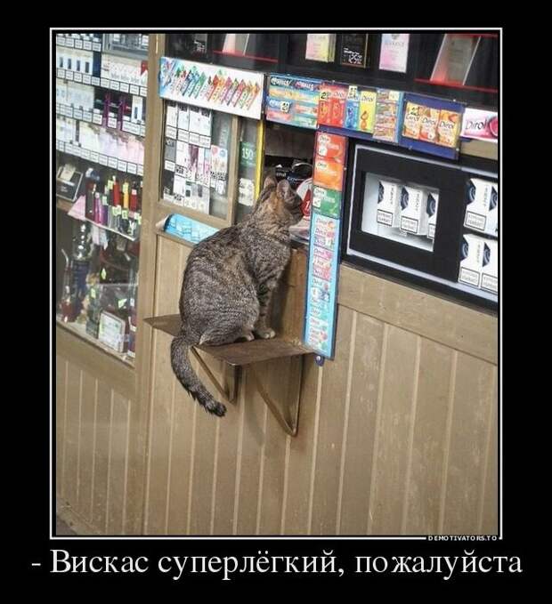 Где демотиваторы - там позитив!