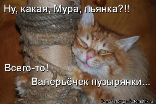 Котоматрицы (картинки с надписями)