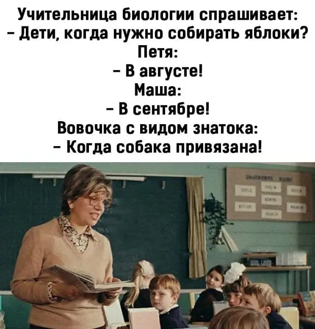 Настоящий друг никогда не спросит: 