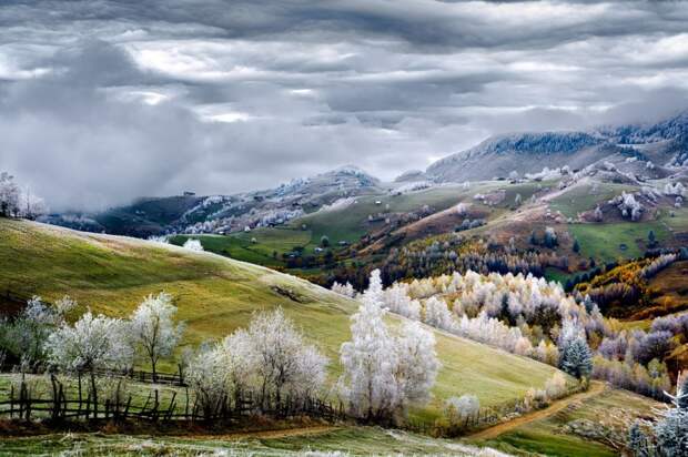 Лучшие фотографии ноября лучшие, фотографии