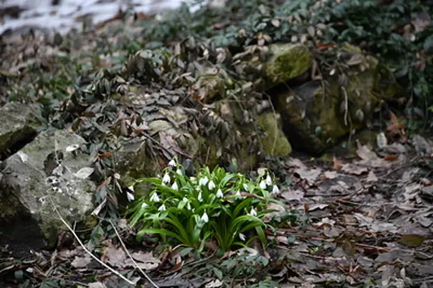Нижегородцев ждёт переменная погода в первые майские праздники