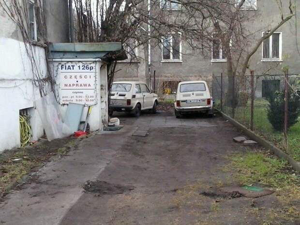 авто, автомобили, польша