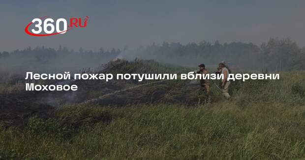 Лесной пожар потушили вблизи деревни Моховое