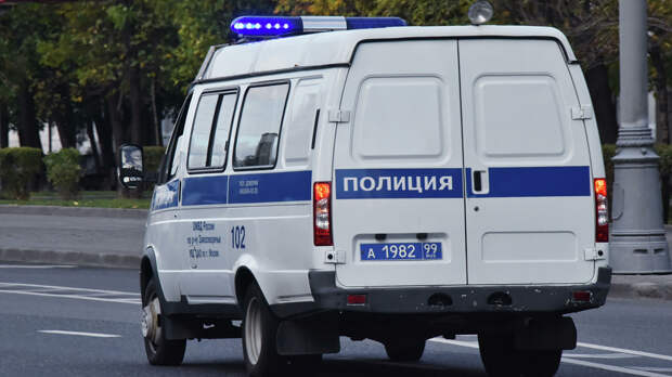 ГУ МВД: водитель из Подмосковья переехал годовалого сына 