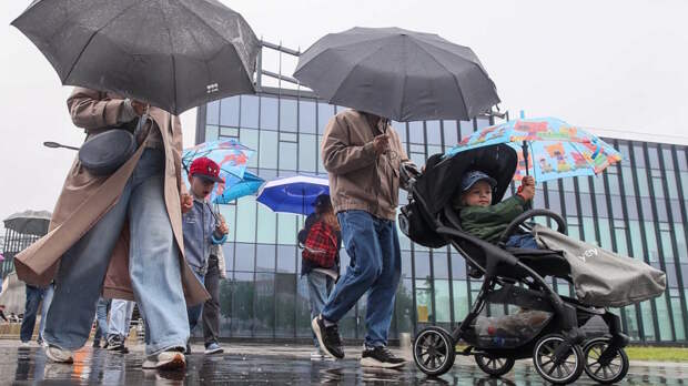 На юге Москвы выпало 33% от месячной нормы осадков за 3 часа