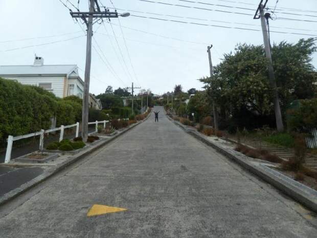 Baldwin Street - самая крутая улица в мире (12) Baldwin Street - самая крутая улица в мире