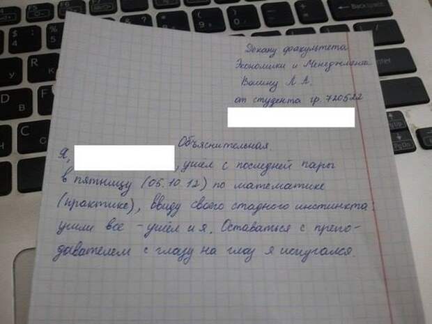 Прикольные картинки Прикольные картинки