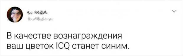 Подборка забавных твитов, которые особенно поймут те, чья юность выпала на нулевые