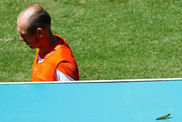 Голландский игрок Арьен Роббен проходит мимо кузнечика после тренировки перед игрой на ЧМ-2014, 28 июня 2014 года