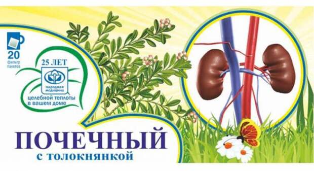 Травы при пиелонефрите: лечебные свойства, правила заваривания, особенности приема