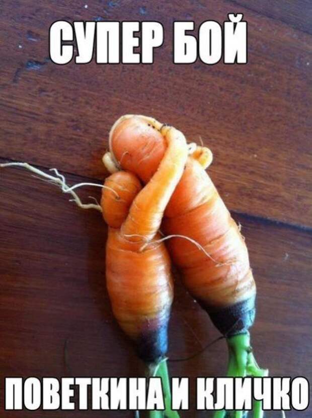 Мемы и прочие приколы)