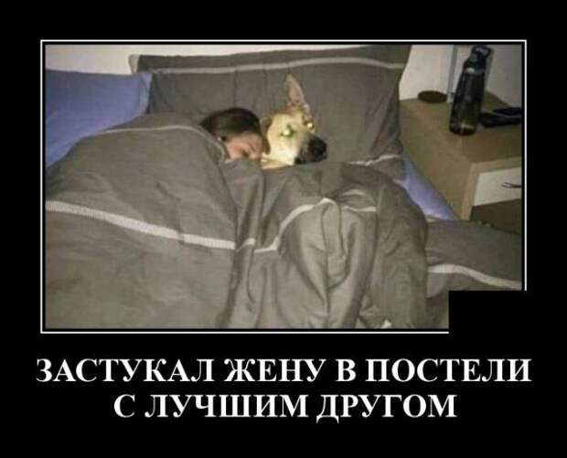 demotivatory-demotivator-smeshnye-demotivatory-demotivator-so-smyslom