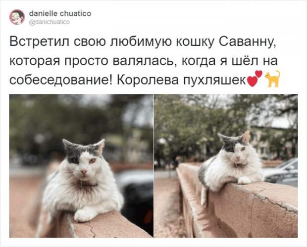 www.vsyako.net