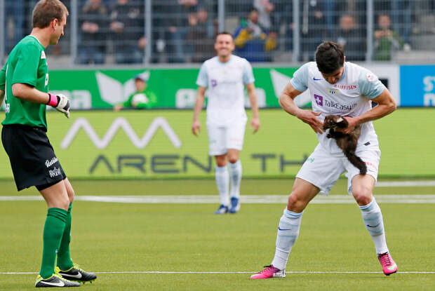 Игрок «Цюриха» Лорис Бенито поймал куницу во время матча чемпионата Швейцарии против «Туна», 10 марта 2013 года