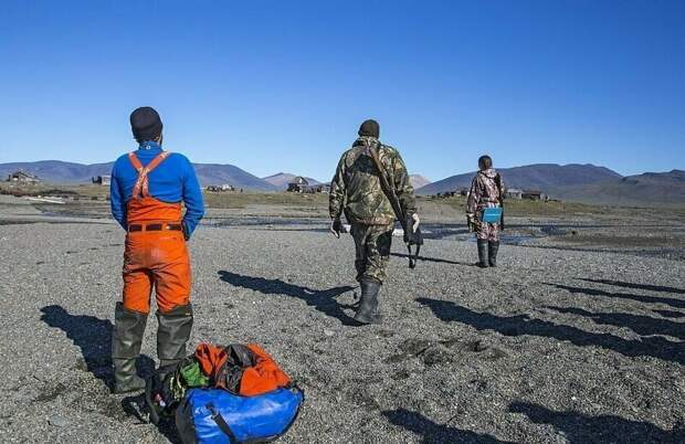 Смотрители острова Врангеля (Клэр Уоринг, категория "Портфолио") National Geographic Traveller 2019, конкурс, мир, путешествие, финалист, фотограф, фотография, фотомир