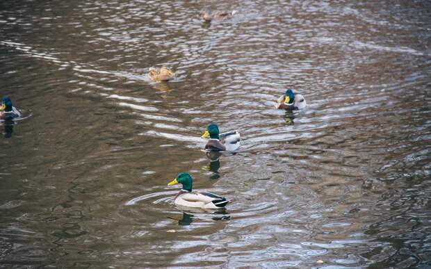 IMG_0927.jpg IMG_0927.jpg