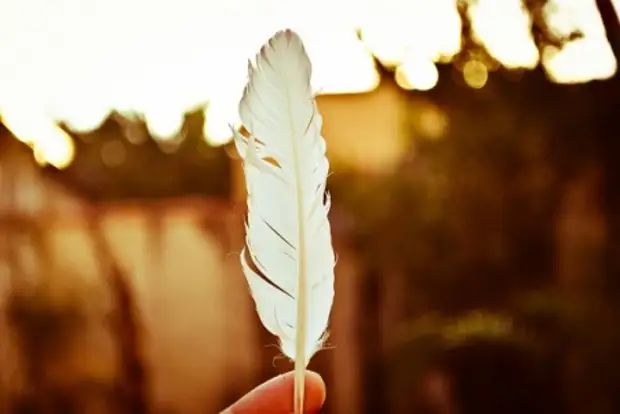 Эволюция мозга