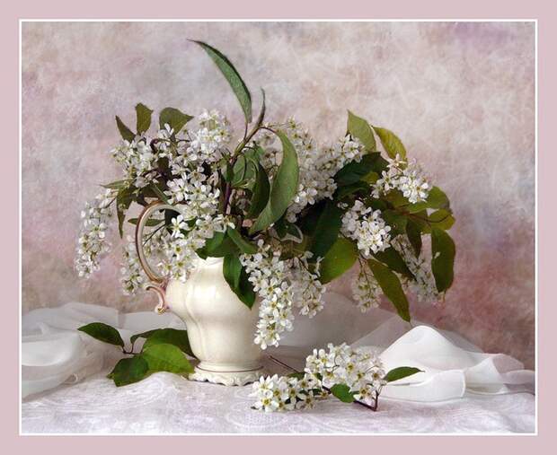 Ceremuxa3 (700x573, 117Kb)