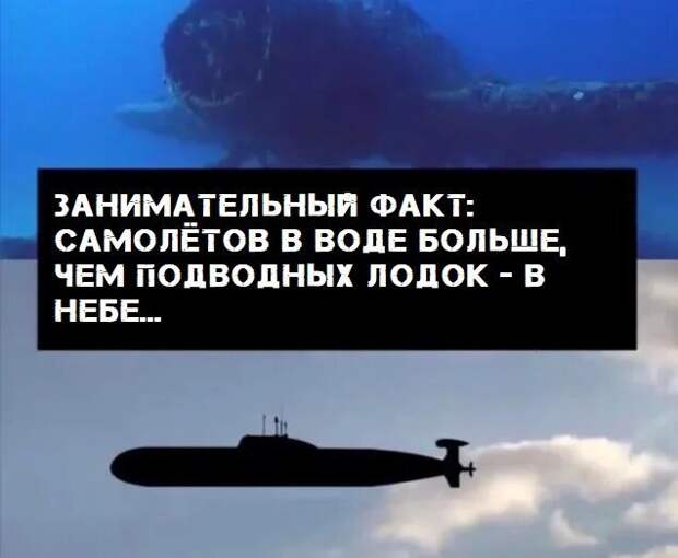 Прикольные и смешные картинки Прикольные и смешные картинки