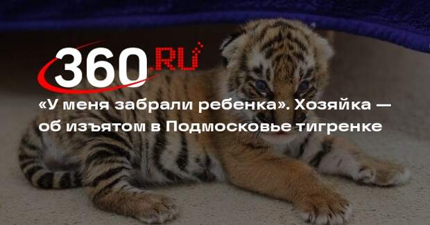 Хозяйка изъятого в Подмосковье тигренка рассказала, как спасала его