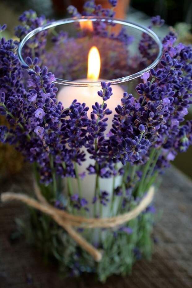 Lavender Лаванда Decor