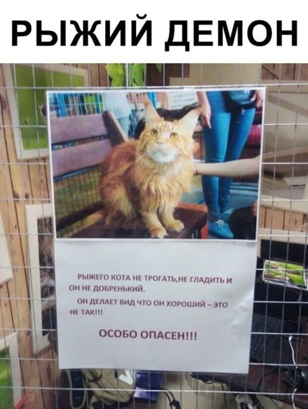 Подборка картинок. Дневной выпуск (20 фото)