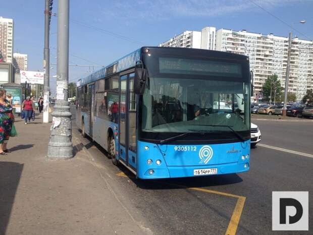 Автобус без турникетов 4