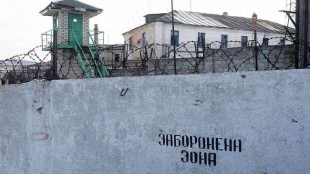 В шаге от концлагерей: Кабмин Украины предлагает принудительное отселение граждан России