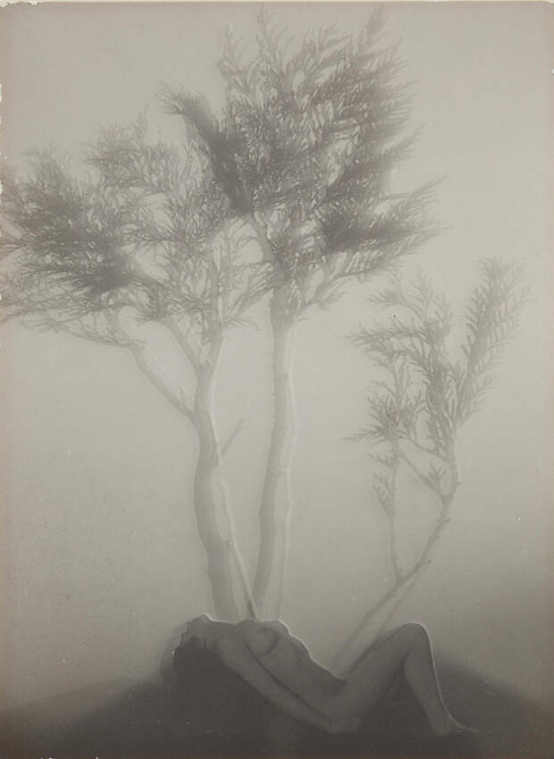 «Женщина в свете» классика чешской фотографии Франтишека Дртикола