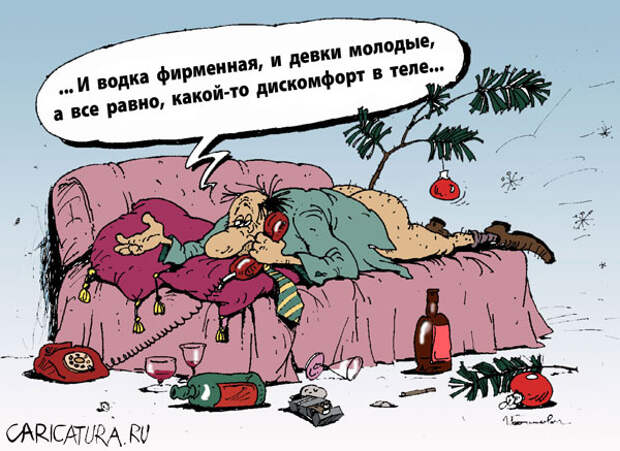 Карикатуры на новогоднюю тему (115 картинок)