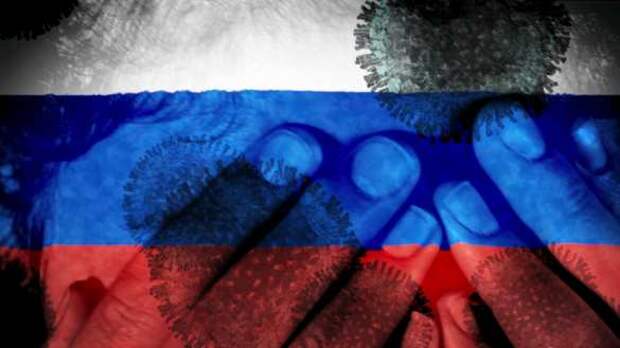 Новый смертельный вирус — есть ли опасность для России?