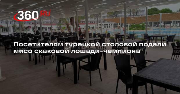 Daily Mail: в Турции мясо призовой лошади подали в столовой для нуждающихся